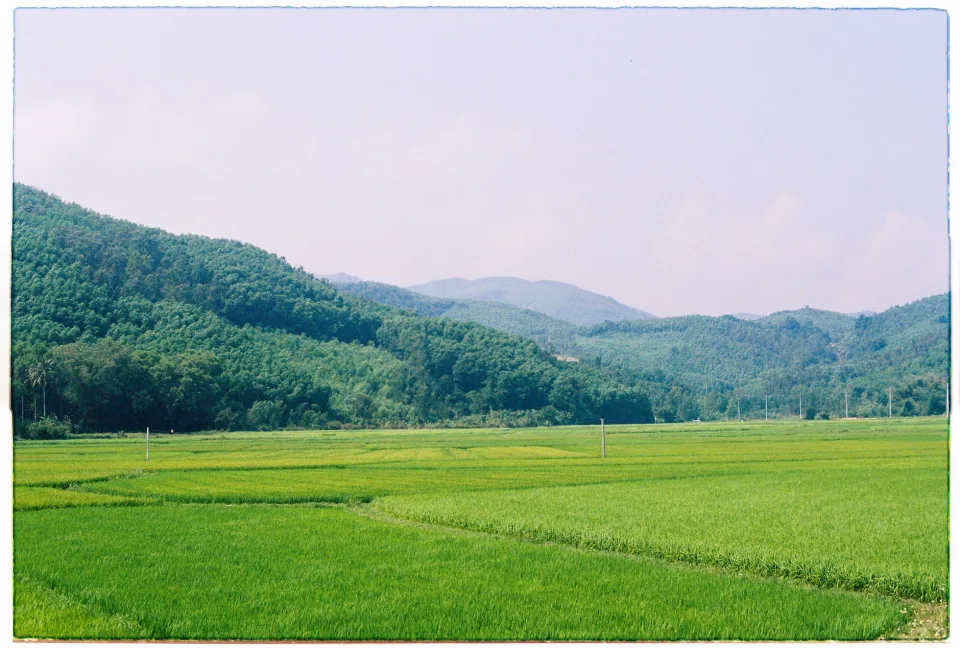 Kho gạo của Nguyễn Thị Nở